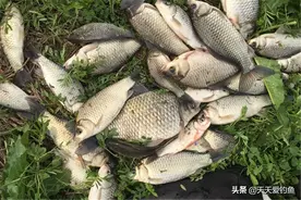 钓鱼技巧：小跑铅钓法的几种玩法，春钓大鲫鱼，全都用得上图片