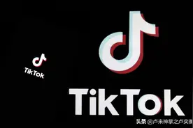 顶级流量，1亿粉！Tiktok首个破亿粉丝号诞生图片