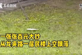 天降百元大钞！热心市民帮忙捡拾，分文不少全数归还图片