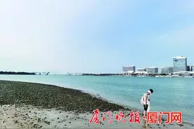 厦门《一双儿女被潮水卷走 仨好心人飞快施救》后续：送上万分敬意 致敬平凡英雄（一）图片