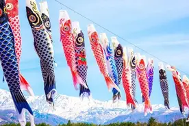 今天是日本儿童节，你知道它的来源及特有鲤鱼旗出自中国古代吗图片