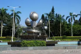 隆冬紫马岭公园，不一样的美图片