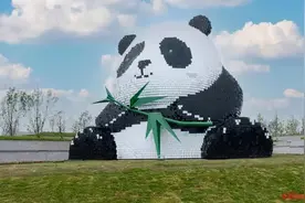 “您好！您乘坐的航班已从天府国际机场起飞……”图片