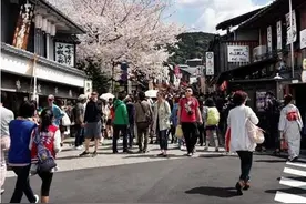 为什么日本女人特别喜欢上海这座城市呢？图片