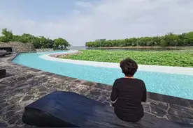 东京奥运会乒乓球混双决赛比赛复盘图片
