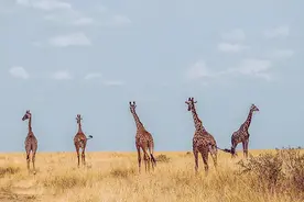 如何让团队内每个人各尽其责图片