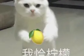 女友为站岗消防员送惊喜，这波狗粮我吃了！图片
