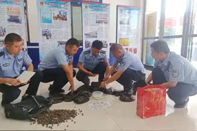 常德端掉“神药”诈骗团伙图片