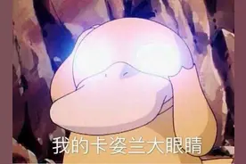 眼底一张照，眼病早知道！关注眼部健康，你要知道这些图片