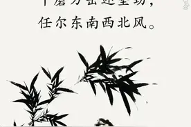 现在小学生，竟然都知道什么是cp，什么是腐女图片
