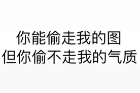 表情包 | 你能偷走我的图，但你偷不走我的气质图片