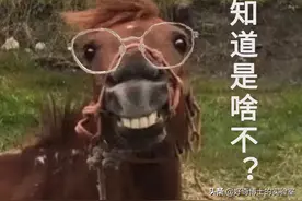 11个奇奇怪怪的微信隐藏玩法（含撩妹教程）图片