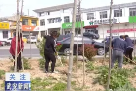 武安：马家庄乡打响爱国卫生运动突击战图片