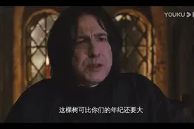 霍格沃兹打人柳，英伦古堡红豆杉：寻找魔幻与现实中的“奇树”图片