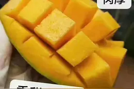 台农芒｜树上熟的芒果，核薄肉厚，甜到没朋友图片