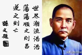 沉舟侧畔千帆过，病树前头万木春图片