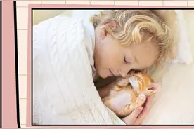 猫和小孩不能友好相处？很可能是你介绍的姿势不对图片