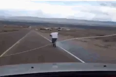 搞笑GIF：大哥，你咋不上天呢图片