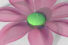 用SolidWorks画一个花瓣图片