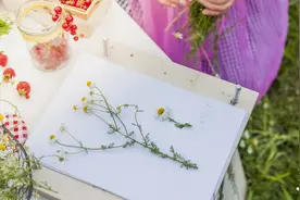 为什么我们总是把最好的一面留给外人，却把最糟糕的一面给了家人？图片