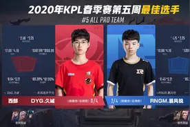 KPL最佳选手阵容，LGD大鹅RNGM练练上榜，久诚获得最佳选手图片