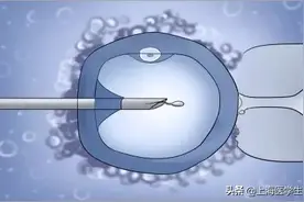 精子碎？孩子没了，原来精子碎片率高也是胎停育的杀手之！图片
