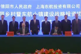 信阳市人民政府与上海东航投资有限公司战略投资协议签约仪式举行图片