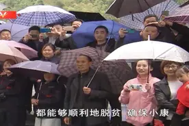 独家视频丨习近平：祝父老乡亲们的生活安康 平利图片