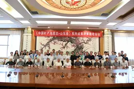 《中国矿产地质志·山东卷》系列成果顺利通过评审验收图片