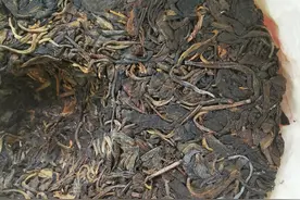 硬核茶知识：什么是“霉菌入侵”？图片