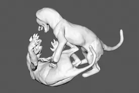 zbrush零基础新手必看入门讲解图片