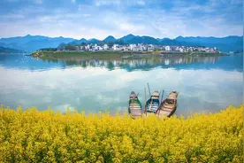 深渡镇，金色油菜花、青山绿水，徽派民居，共同构成一幅百里画卷图片