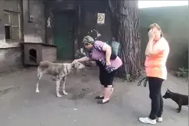 如果狗狗走失几年再回来，你还认得出它吗....图片