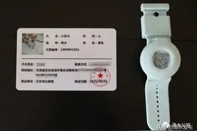 清水公安依法文明养犬倡议书图片