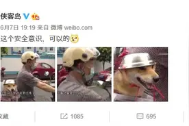 笑喷！大爷骑车给狗子戴自制头盔，网友：“铁帽子汪”表情包安排图片