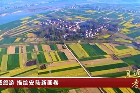 全域旅游 描绘安陆新画卷图片