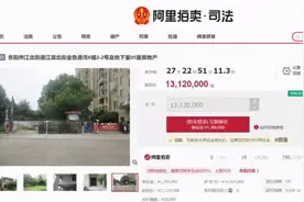 浙江前女首富4套别墅遭拍卖！数千人围观却无人报名，昔日800亿资产大集团“跌落神坛”图片