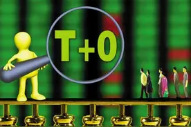 重磅！上交所研究引入单次“T+0交易”，这些板块有望火爆图片
