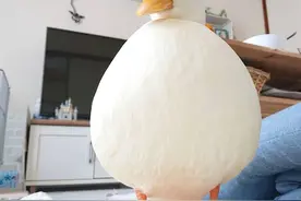 1万块钱1只的鸭，你吃过吗？图片