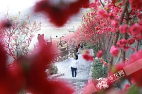 长江畔半坡花开 铜锣花谷春意浓图片