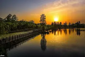 【美拍】 春天里，明月公园如诗如画图片