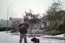 一组李小龙的珍贵训练照背部肌肉夸张，图九或许是其猝死的原因图片