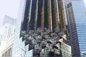 特朗普豪宅曝光 不愧是干房地产的图片