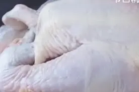 女士买回的三黄鸡，发现有些部位发绿，吓得不敢吃了，怎么回事呢