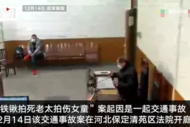 “铁锹拍死老太拍伤女童案”相关交通事故案开庭，被害人家属成被告图片