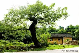 民间故事：怪老头连吃俩瓜，让瓜农找侄子要钱，侄子：大伯不在了图片
