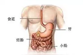 一套改善消化系统的阴瑜伽序列（收藏）图片