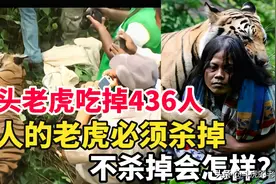 一年杀害436人的老虎，是该杀掉还是该关起来？专家：必须杀掉图片