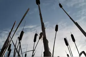 “好冷”非常“好冷”图片