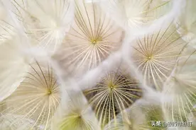企业越大，越值得投资么：规模优势 | 螺丝钉带你读书图片